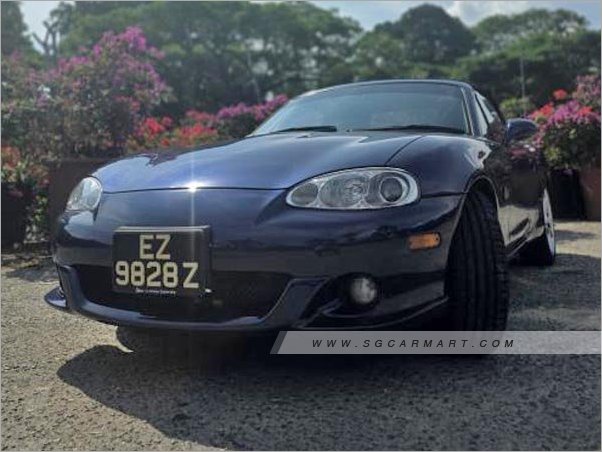 Magnetic Mount