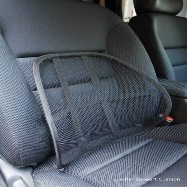 Carbuddy Lumbar Support Cushion